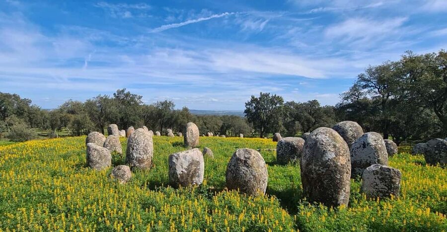 From Montemor or Évora: Guided Hike to Almendres Megalithic - Getting There: Pickups, Van Ride, and a Day That Stays Focused