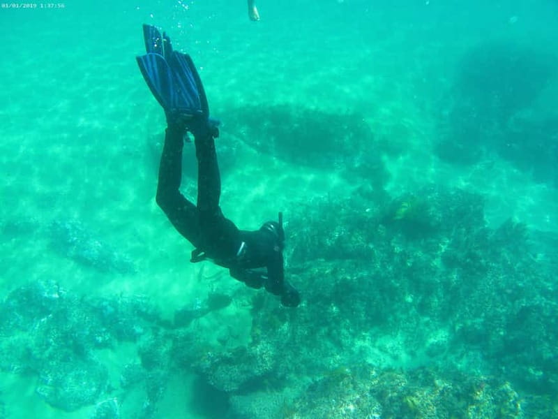 From Sesimbra: Sea Scooter Snorkeling boat Tour - The sea scooter snorkeling stop (45 minutes) in protected waters
