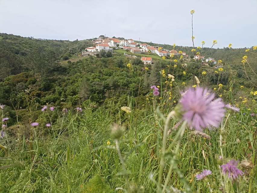 From Sintra, Mafra, or Ericeira: Hike and Wine Tour - Mata Pequena and Penedo do Lexim: where rural life meets volcanic leftovers