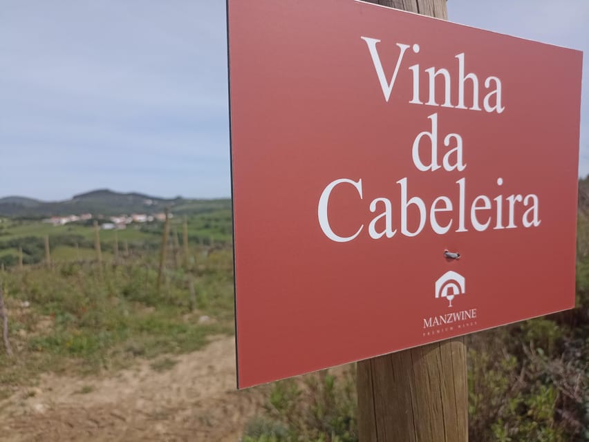 From Sintra, Mafra, or Ericeira: Hike and Wine Tour - Six wine tastings plus local bites: how the tasting portion works