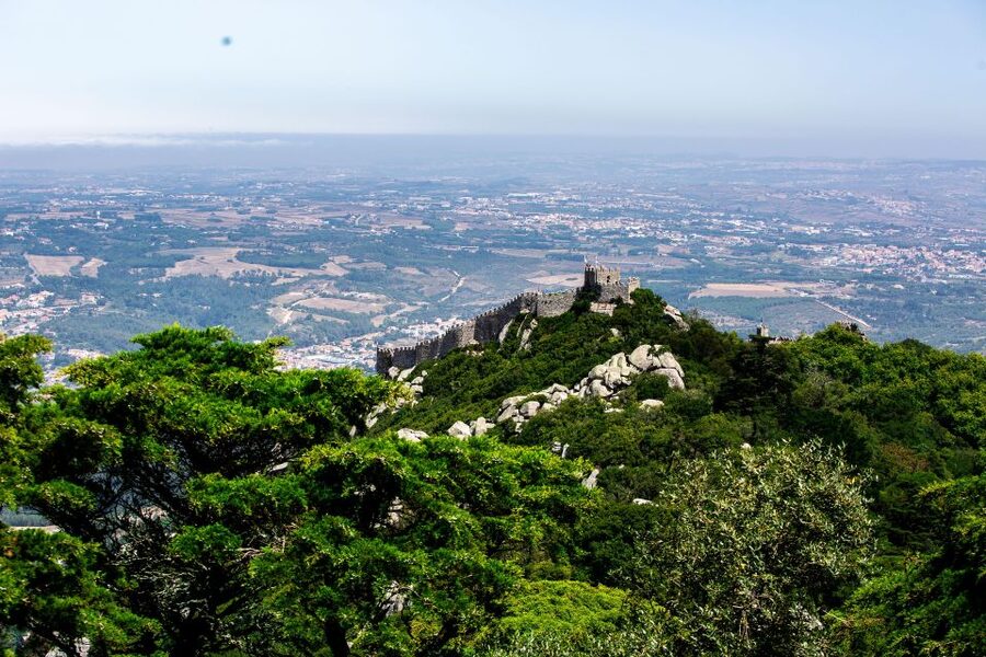 From Sintra: Pena Palace Guided Tour - Meet at Pérola, ride in a 4x4, and settle into a group of six