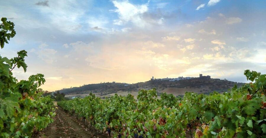 Full-Day Private Cultural Tour in Evora and Monsaraz - Key highlights you’ll feel right away