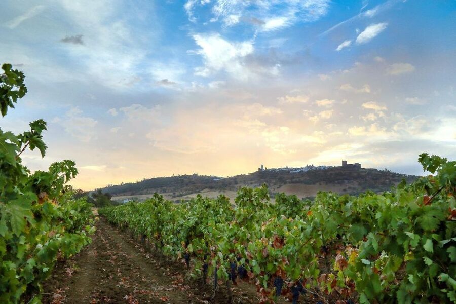 Full-Day Private Cultural Tour in Evora and Monsaraz - Getting there and back: a smooth 8 hours from Lisbon