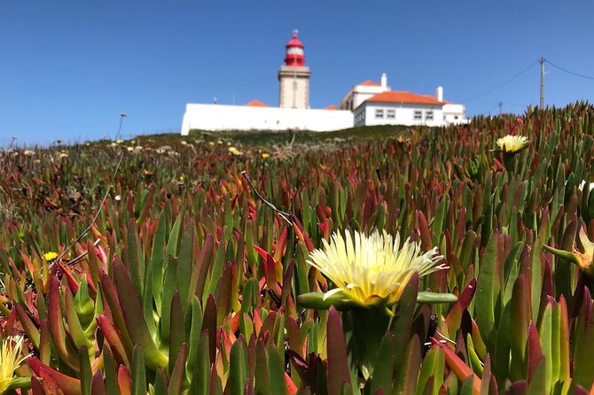 Full Day Tour: Sintra, Pena Palace, Cabo da Roca, Cascais - Cascais: Fishing Town Charm Meets Royal Summer Life