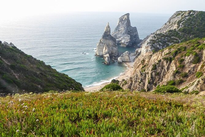 Full Day Tour: Sintra, Pena Palace, Cabo da Roca, Cascais - Price and Value at $96.79: What You Really Pay For