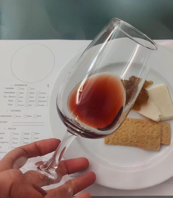 Golden Era of Évora walking & the portuguese wine tasting. - What to wear, how to pace yourself, and what to expect on the ground