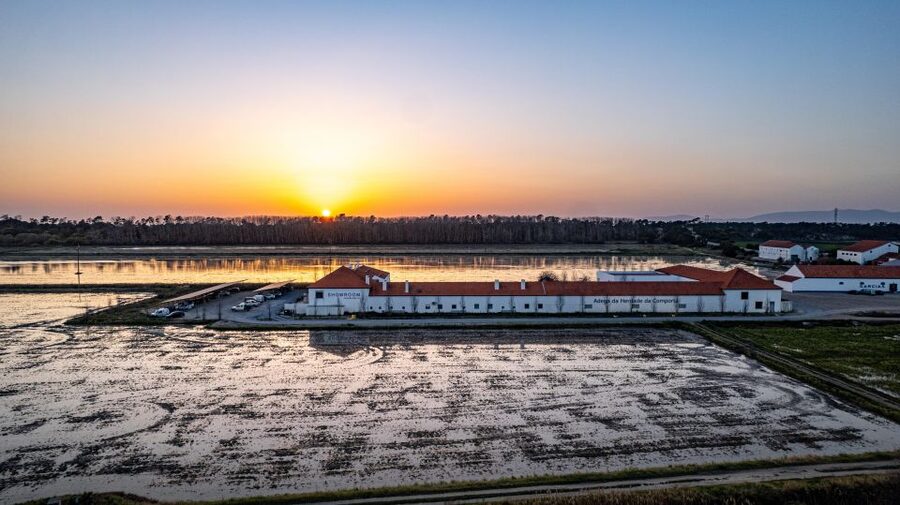 Herdade da Comporta Winetasting - Inside the Sado Estuary Natural Reserve: The Winery Tour Angle