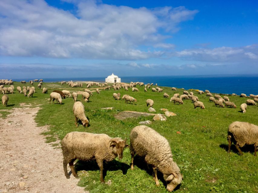HIKING around Lisbon: Jurassic Dinosaur Trails of Espichel - Food and rest: cheese and bread in a very strange setting