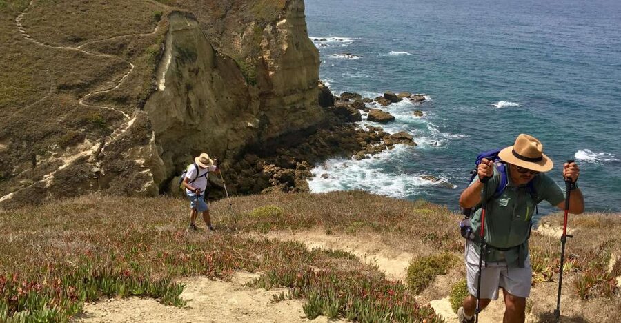 Hiking Tour Along the West Coastline - Key things you will notice on this West Coast hike