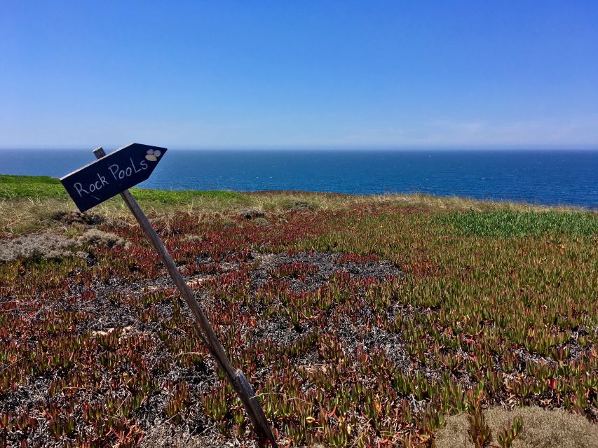 Hiking Tour Along the West Coastline - Why this Praia das Bicas to dinosaur-tracks route feels different from a normal coastal walk