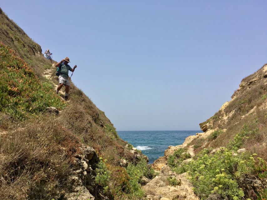 Hiking Tour Along the West Coastline - Pickup and timing: how the morning run sets you up for an easy start