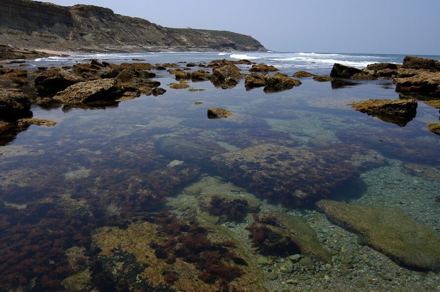 Hiking Tour Along the West Coastline - The hike itself: distance, difficulty, and what the trail does to your body