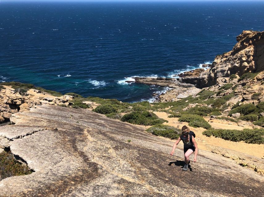 Hiking Tour Along the West Coastline - Arrábida Natural Park vegetation stops: why the guide’s details matter