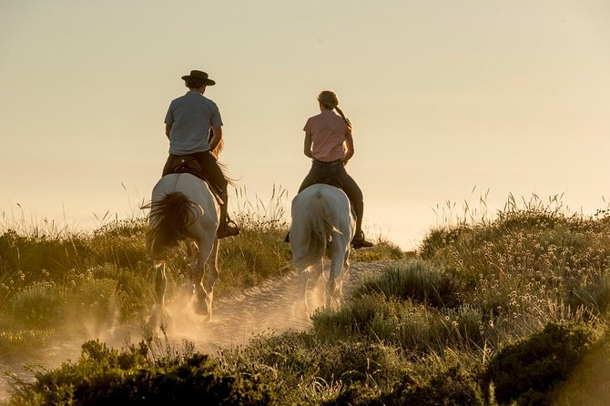 Horse Riding on the Beach - Key highlights you will care about