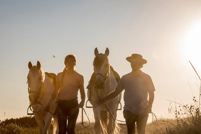 Horse Riding on the Beach - Starting in the pine and dune forest, then meeting the horse on the move