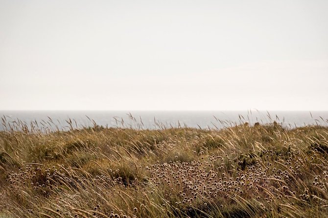 Horse Riding on the Beach - What to expect at each stage, from the meeting point to the return