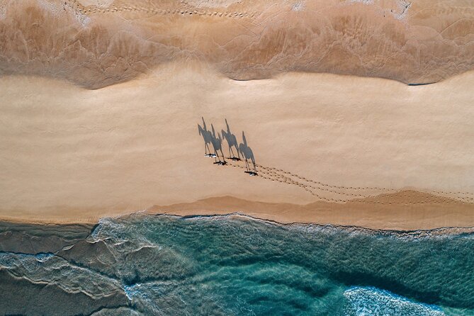 Horse riding on the beach, with private transfer from Lisbon - Key Takeaways Before You Go