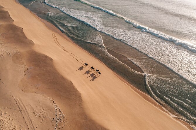 Horse riding on the beach, with private transfer from Lisbon - Meeting Your Horse at the Beach, and What Comfort Means Here