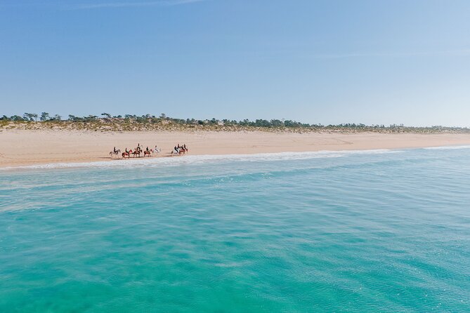 Horse riding on the beach, with private transfer from Lisbon - The Setúbal Peninsula Views You Get While You Ride