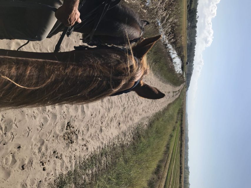 Horse riding on the beach, with private transfer from Lisbon - Small Group Riding: The Upside and the Reality