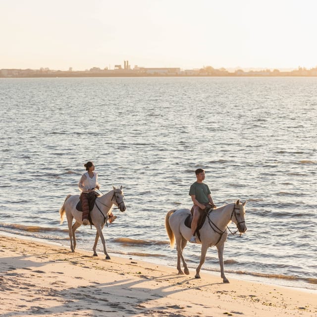 Horseback Riding On The Beach At Sunset - Key things worth knowing before you book