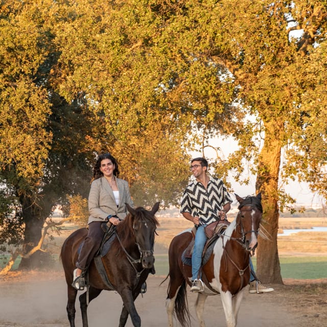 Horseback Riding On The Beach At Sunset - Why this sunset horse ride feels special on the Tagus River beach