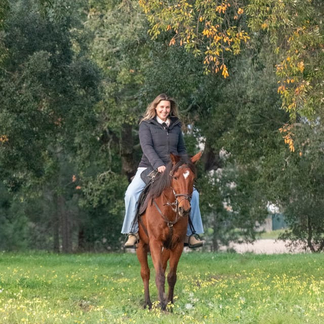 Horseback Riding On The Beach At Sunset - Sunset moments: how to get the best photos and the best mood