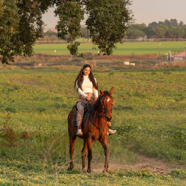 Horseback Riding On The Beach At Sunset - Safety and comfort: the parts you should trust