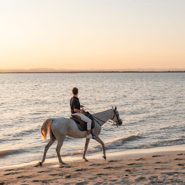 Horseback Riding On The Beach At Sunset - Who this tour suits best