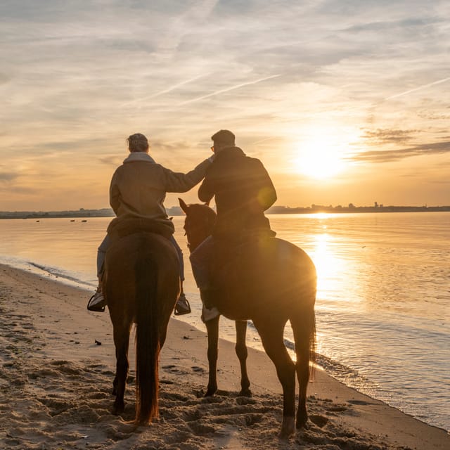 Horseback Riding On The Beach At Sunset - Pátio do Tejo meeting point, and what you’ll do first