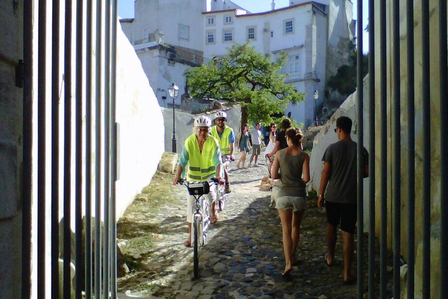 Lisbon: 7 Hills Half-Day Electric Bike Tour - The Tour Guides: What You Gain from Their Style (Rafael, Miguel, and More)
