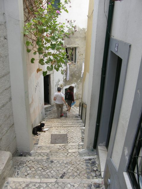 Lisbon: Alfama and São Jorge Castle Quarters Walking Tour - From Roman Olisipo to Moorish Al-Hamma, the thermal-water story