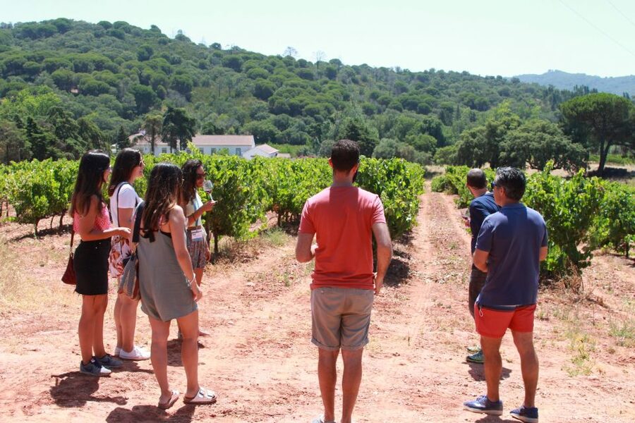 Lisbon: Arrábida and Sesimbra Day Trip with Wine - Key things to know before you go