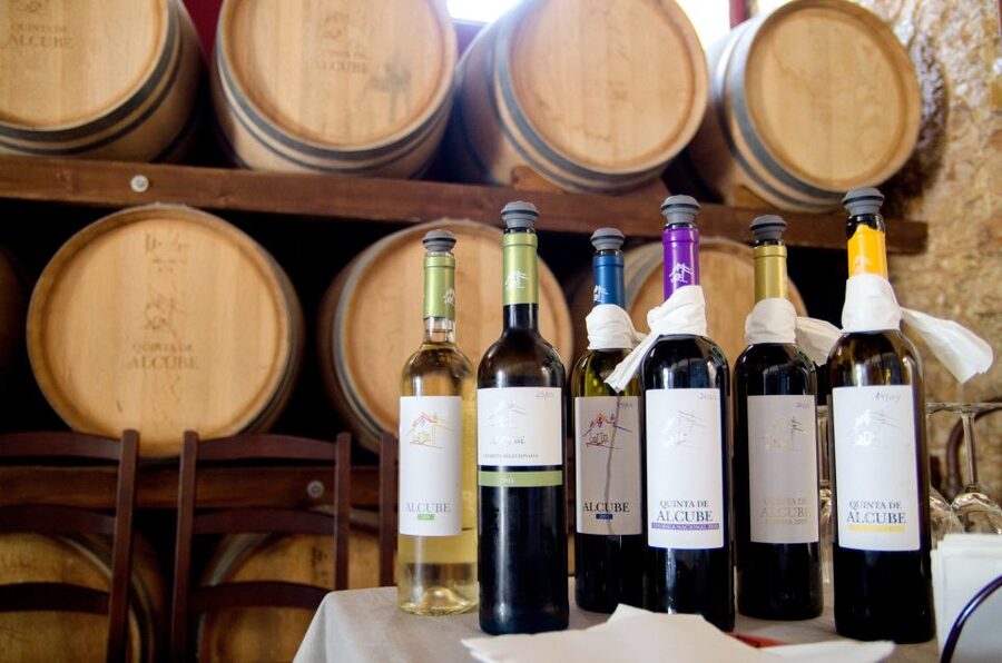 Lisbon: Arrábida and Sesimbra Day Trip with Wine - What group size and guides change about your experience