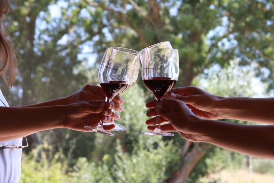 Lisbon: Arrábida and Sesimbra Day Trip with Wine - Why this Arrábida and Sesimbra day trip feels different from a typical Lisbon tour