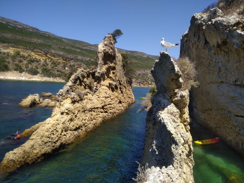 Lisbon: Arrábida Kayak and Coasteering Adventure Tour - Sea caves and optional cliff jumps: coasteering without pressure
