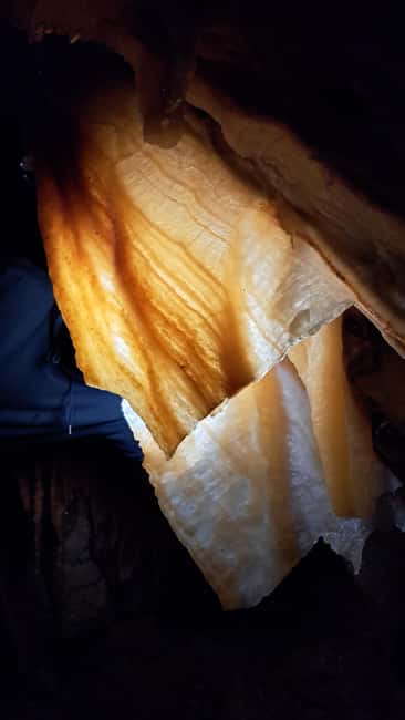 Lisbon: Arrábida Natural Park Cave Tour with Guide - The Biodiversity Lesson Inside Arrábida Natural Park