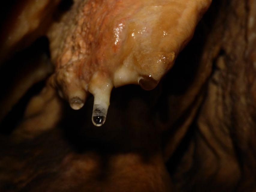 Lisbon: Arrábida Natural Park Cave Tour with Guide - Price and Value: Is $76 Worth a Cave Tour From Lisbon?