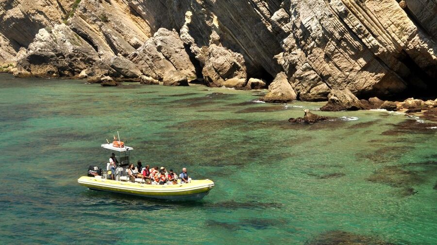 Lisbon: Arrábida Natural Park Dolphin Watching Boat Tour - Timing that actually works: 2.5 to 7 hours without feeling like you’re wasting a day