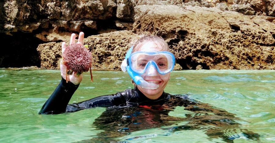 Lisbon: Arrábida Snorkeling Adventure - Key Highlights You’ll Care About