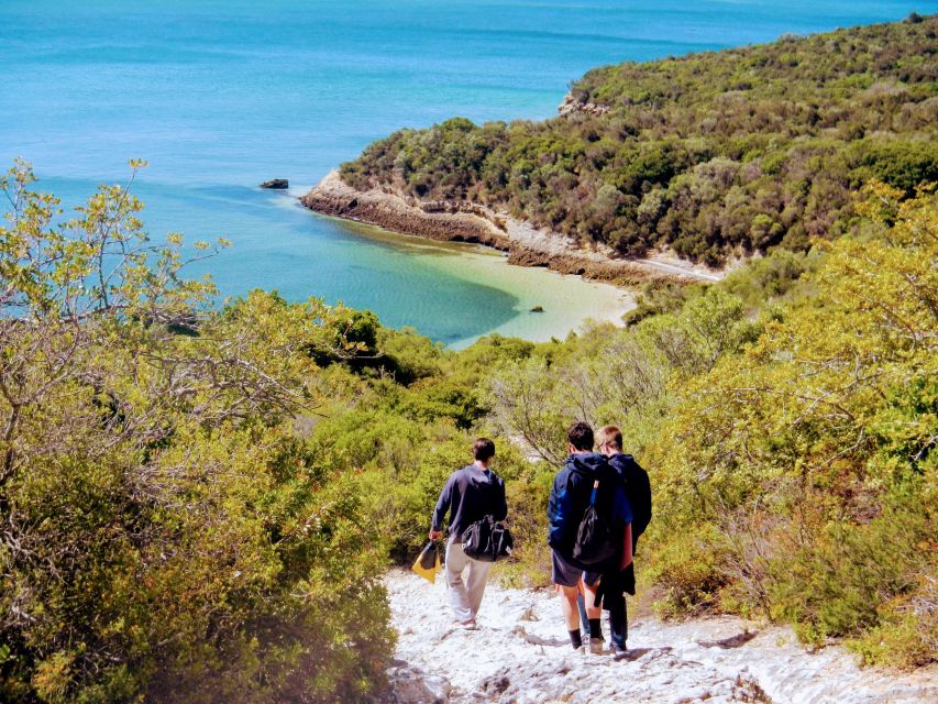 Lisbon: Arrábida Snorkeling Adventure - Arrábida’s Coast, Why This Feels Better Than a Basic Boat Trip