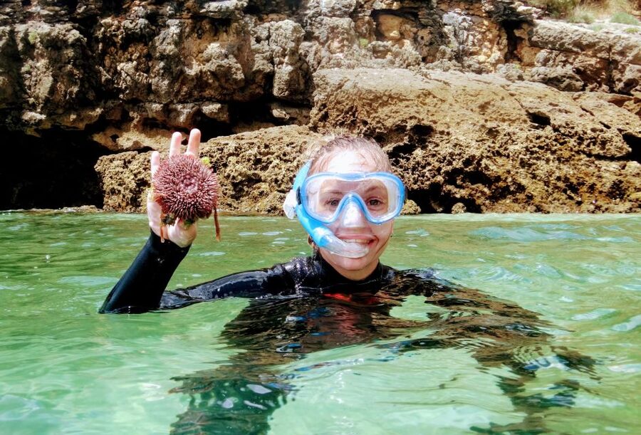 Lisbon: Arrábida Snorkeling Adventure - Snorkeling Session: Rocky Bottoms, Caves, and What You Might See
