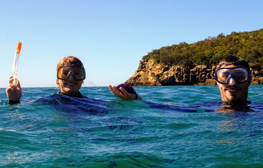 Lisbon: Arrábida Snorkeling Adventure - Fossil Cliffs and Coastal Views You’ll Actually Remember
