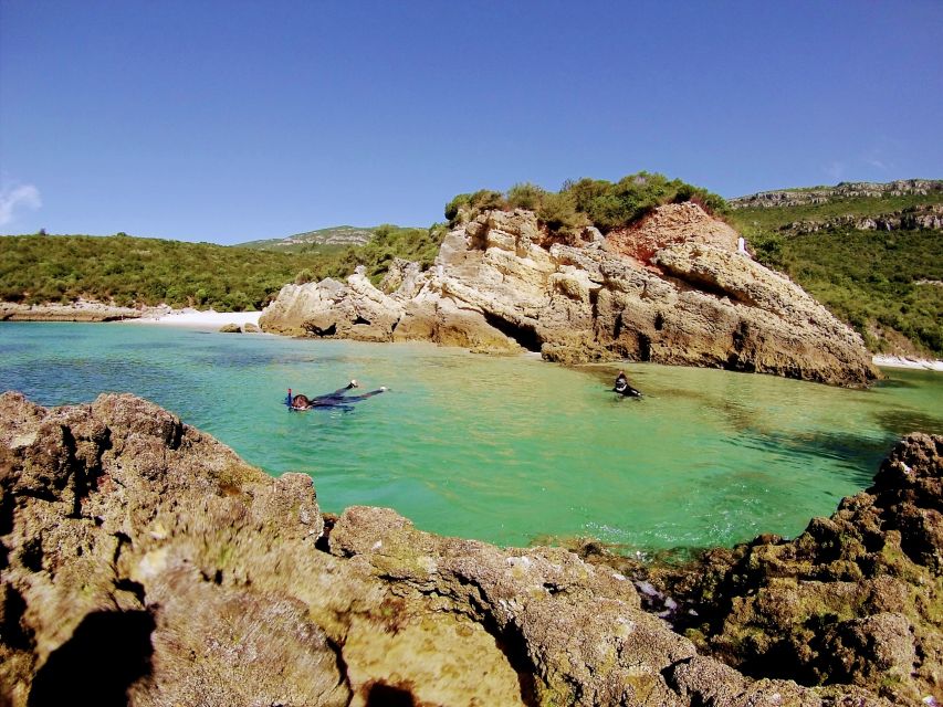 Lisbon: Arrábida Snorkeling Adventure - Guides, Timing, and the Felipe Factor
