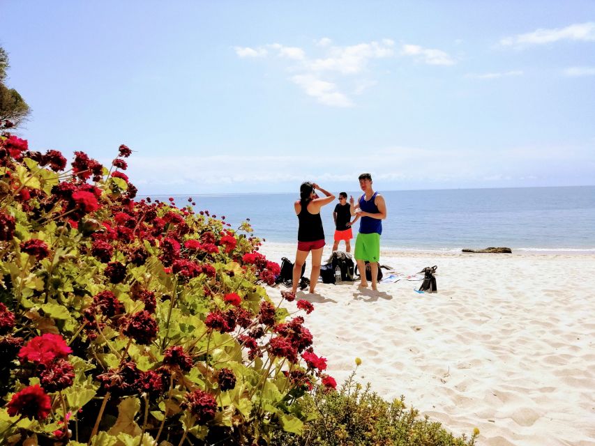 Lisbon: Arrábida Snorkeling Adventure - What to Bring So the Day Feels Easy