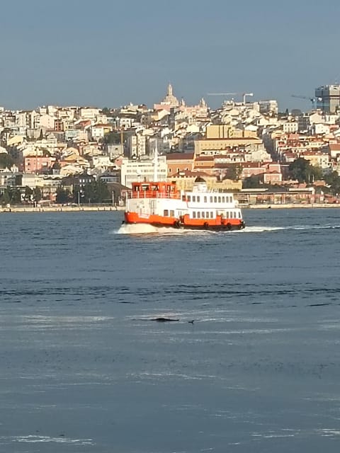 Lisbon: Belem, Jeronimos Monastery, and Coach Museum Tour - Who this tour fits best, and who should consider alternatives