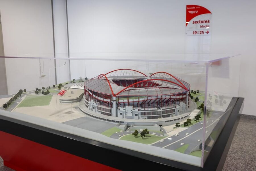 Lisbon: Benfica Luz Stadium Tour with Souvenir Scarf - Pace, group size, and guide style (Prince and Carolina as examples)