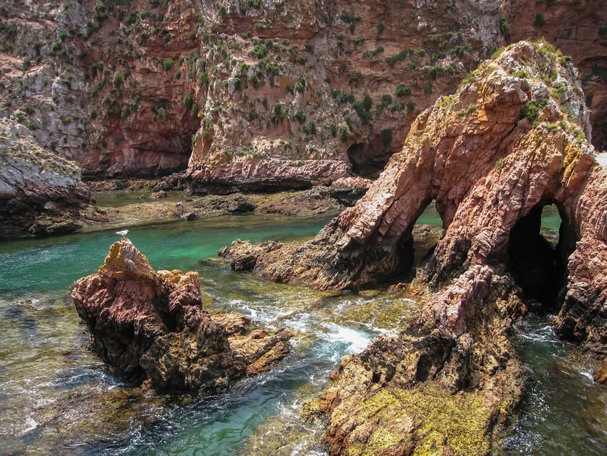 Lisbon: Berlenga Island Full Day Tour - The Nature Reserve Walk: Short, Focused, and Actually Worth Your Time