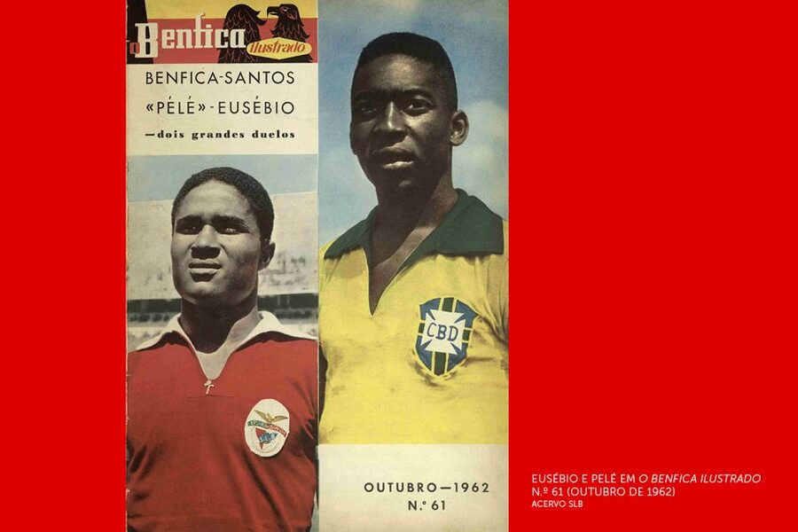 Lisbon: Customized Luz Stadium and Guided Museum Tour - Price and Value at About $29 per Person