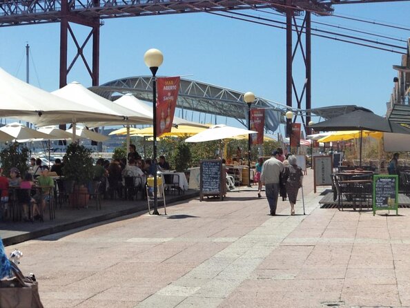 Lisbon: Dolphin Watching with a Marine Biologist - Ocean Safari - Key things to know before you go